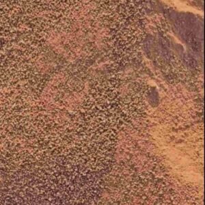 رمل طرطشه احمر